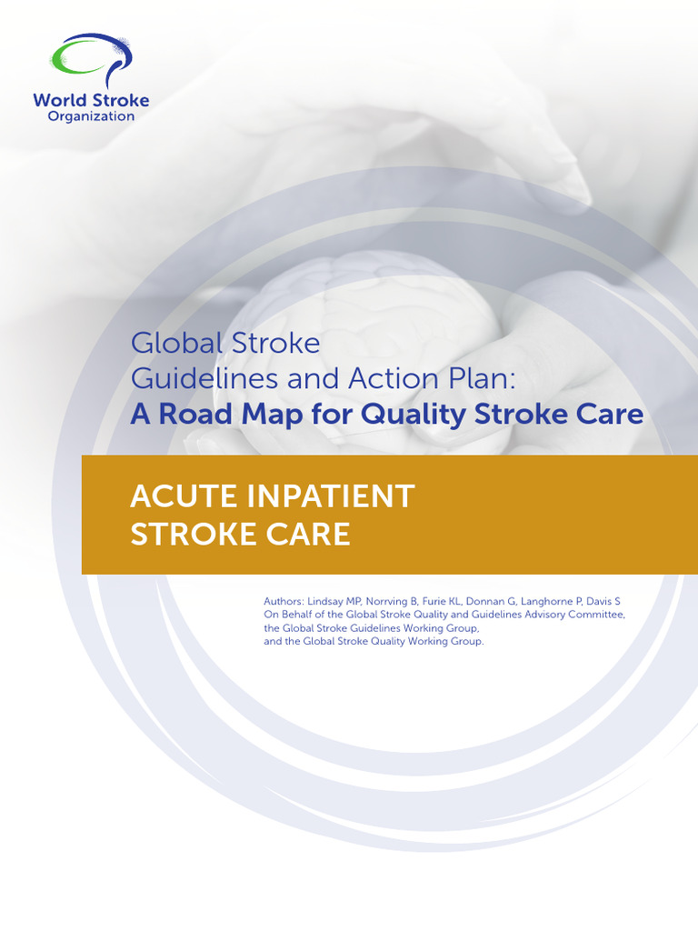Quality Stroke Care Roadmap | PDF | Stroke | Physical Therapy