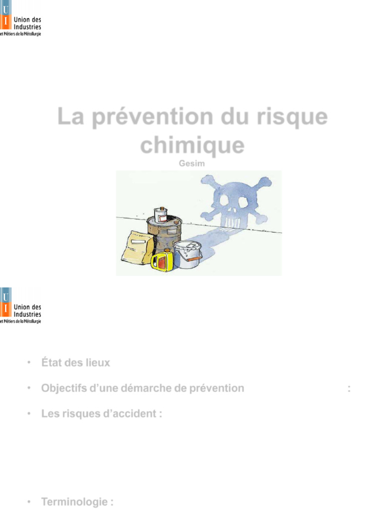 Prévention des Risques Chimiques en Entreprise | PDF | Peau | Système ...
