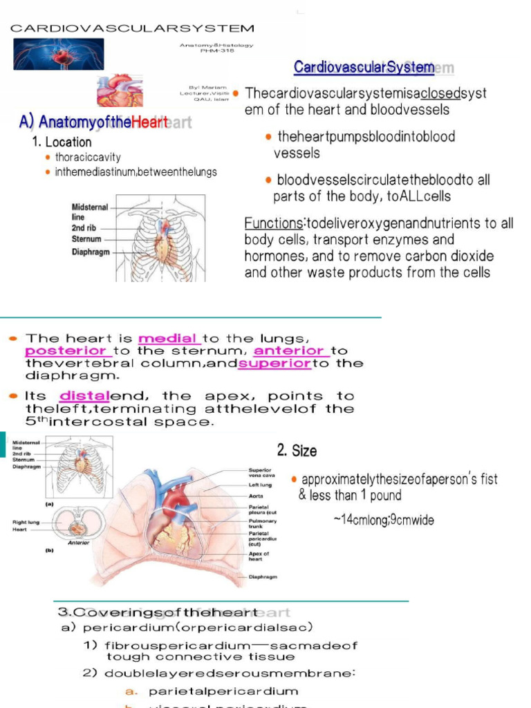 Cvs | PDF