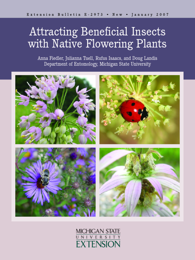 Attracting Beneficial Insects With Native Flowers | PDF | Bees | Wasp