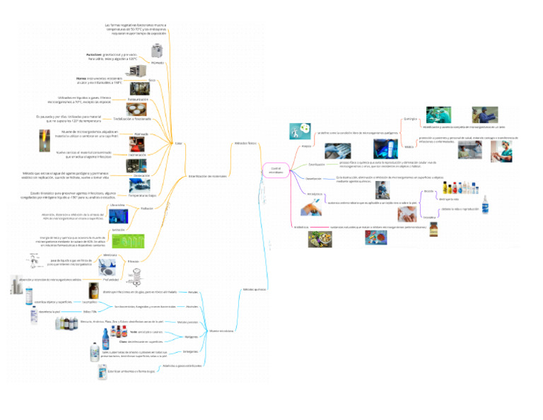 Mapa Mental Control Microbiano | PDF