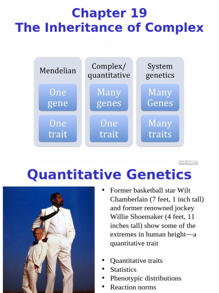 Inheritance of Complex Traits Explained | PDF | Heritability ...