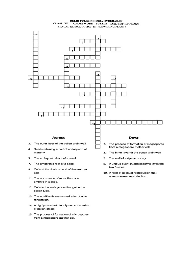 Crossword Puzzle 1 | PDF