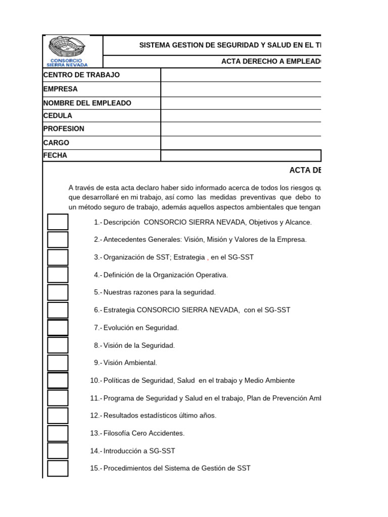 Acta de Seguridad y Salud Laboral | PDF