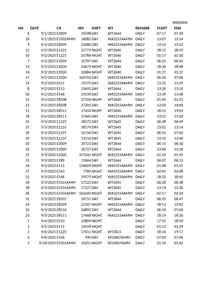 Daily Washing Management Log | PDF