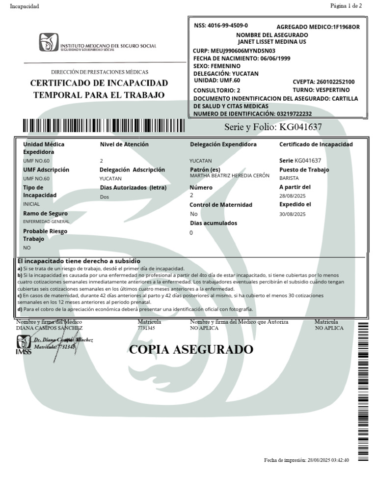 Subsidio por Incapacidad IMSS | PDF