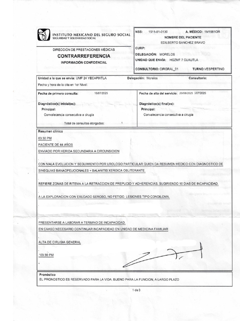 Imss PDF | PDF
