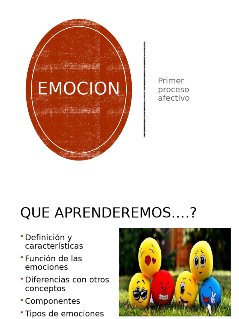 Características y Funciones de las Emociones | PDF | Las emociones ...