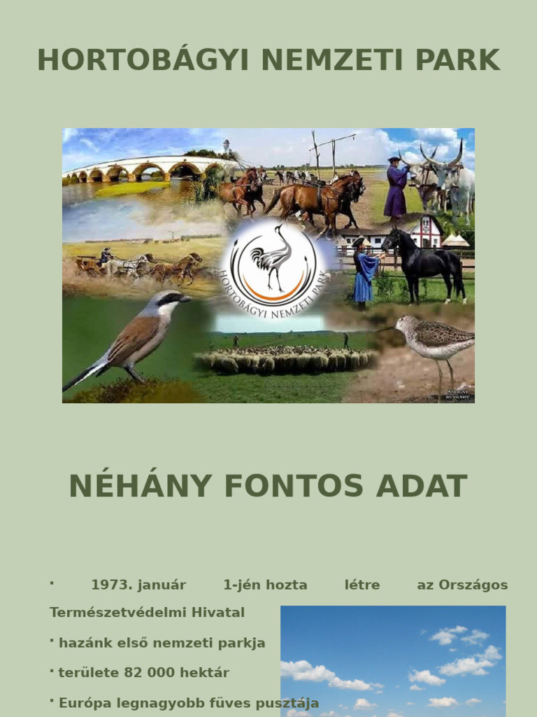 hortob-gyi-nemzeti-park-pdf