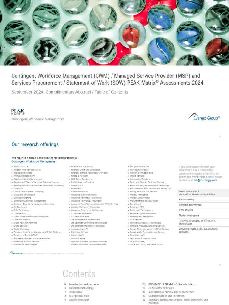 Everest Group CWM MSP and Services Procurement Statement of Work PEAK ...