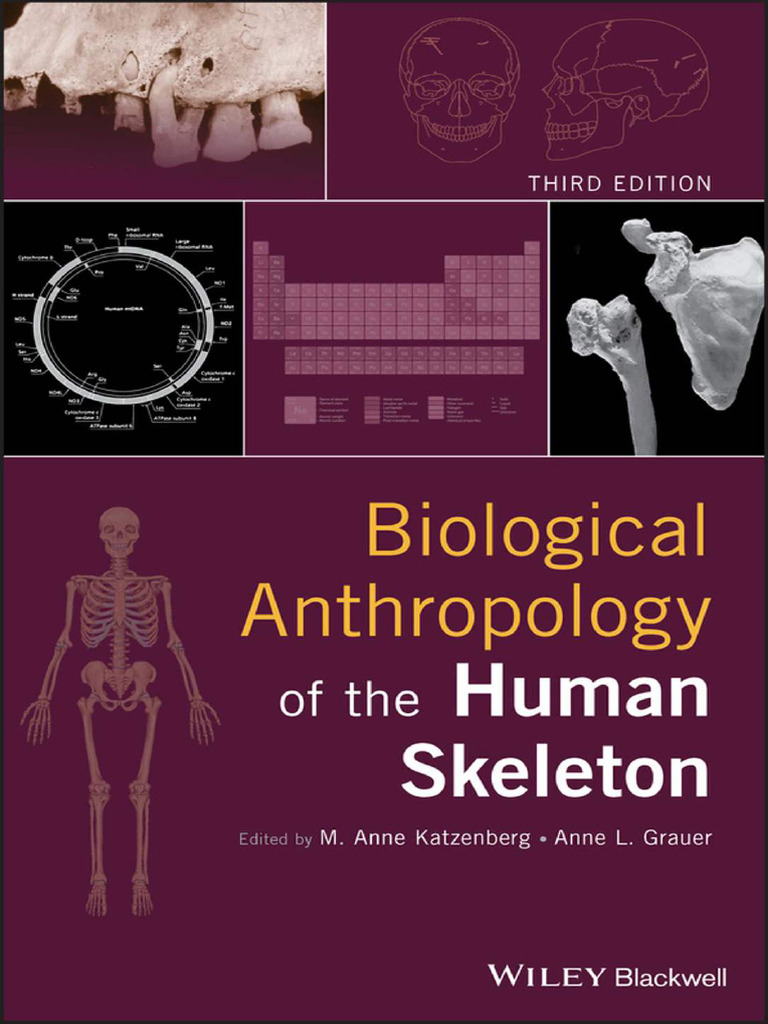 Biological Anthropology of the Skeleton | PDF