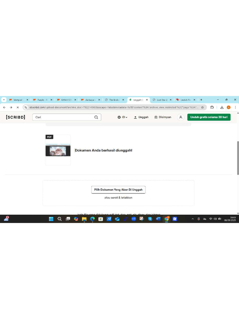 Screenshot | PDF