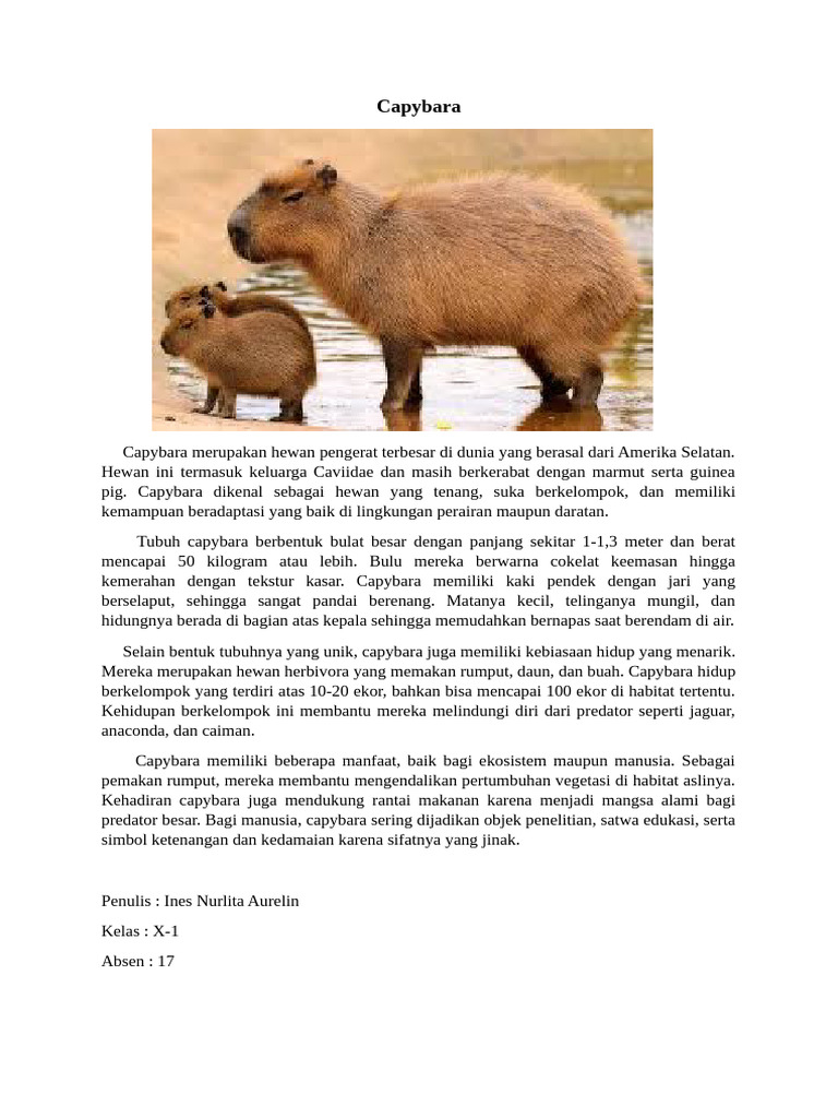 Karakteristik dan Manfaat Capybara | PDF