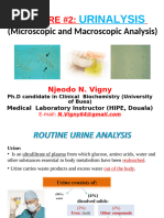 Normal Urine Routine Examination Report | PDF | Urine | Kidney