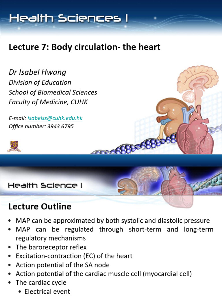 Body Circulation - CV System (Nov 2024) - Slides 29-34 Revised | PDF ...