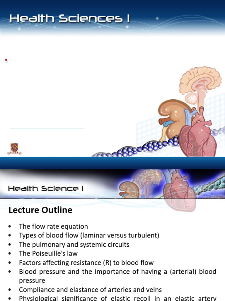 Blood Flow Dynamics and Resistance Factors | PDF | Blood Vessel ...