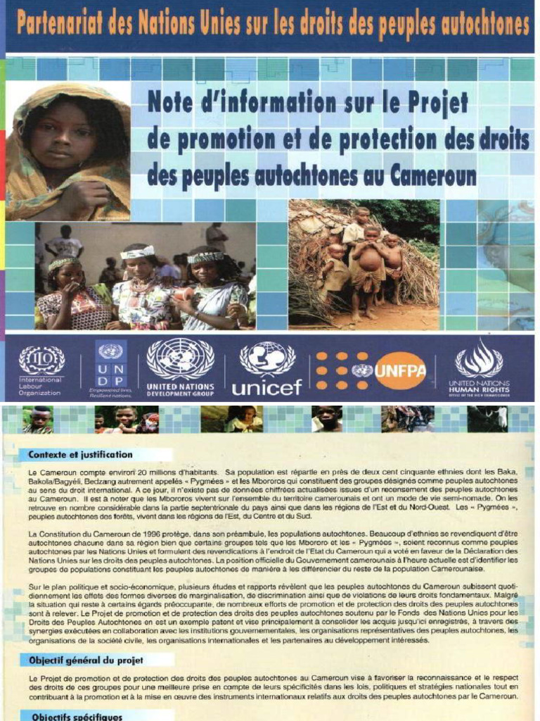 Partenariat Des Nations Unies Sur Les Droits Des Peuples Autochtone | PDF