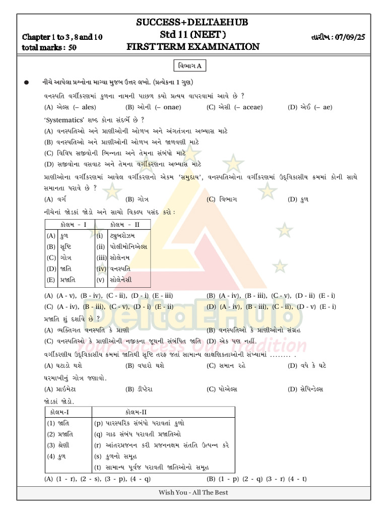 Firsttermexamination d03 Sept 2025 | PDF