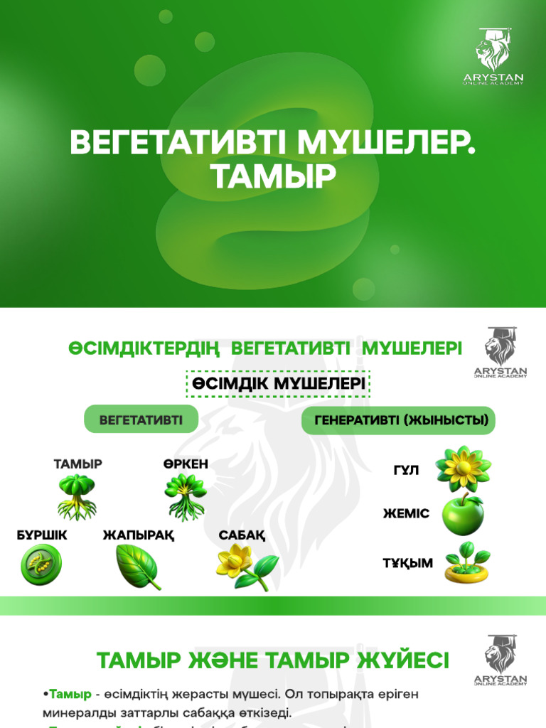 Мүшелер сорады