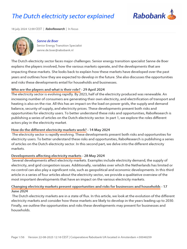 Dutch Electricity Sector: Key Players Explained | PDF | Electrical Grid ...