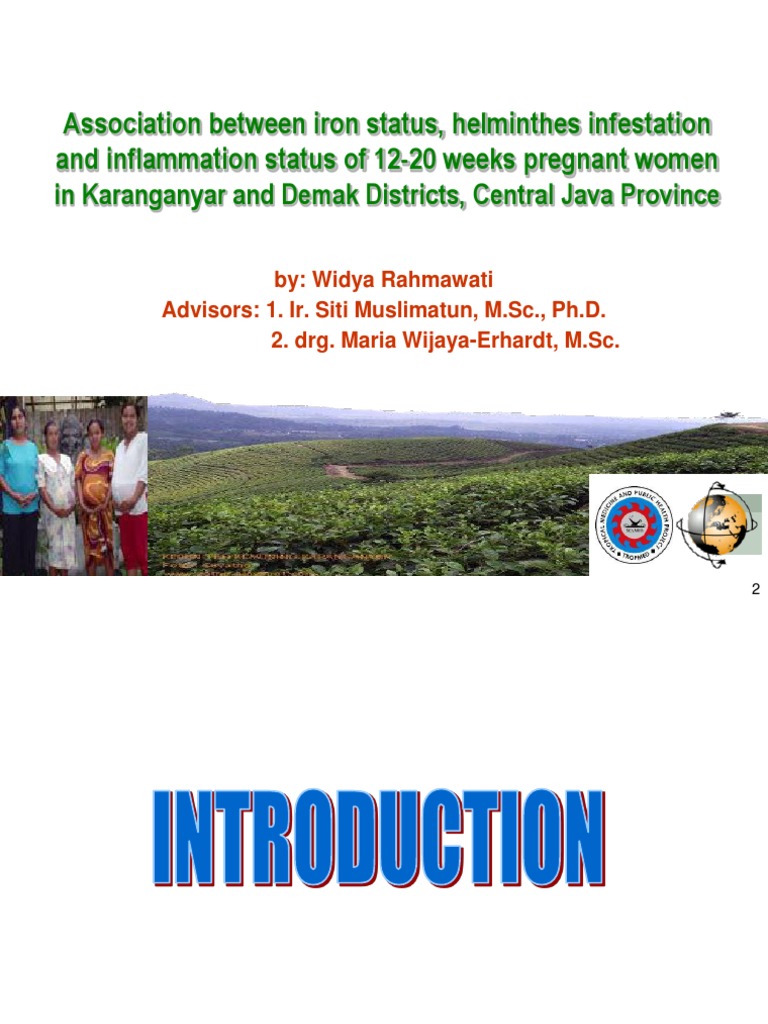 Iron Status and Helminthes in Pregnant Women | PDF | Self-Improvement ...