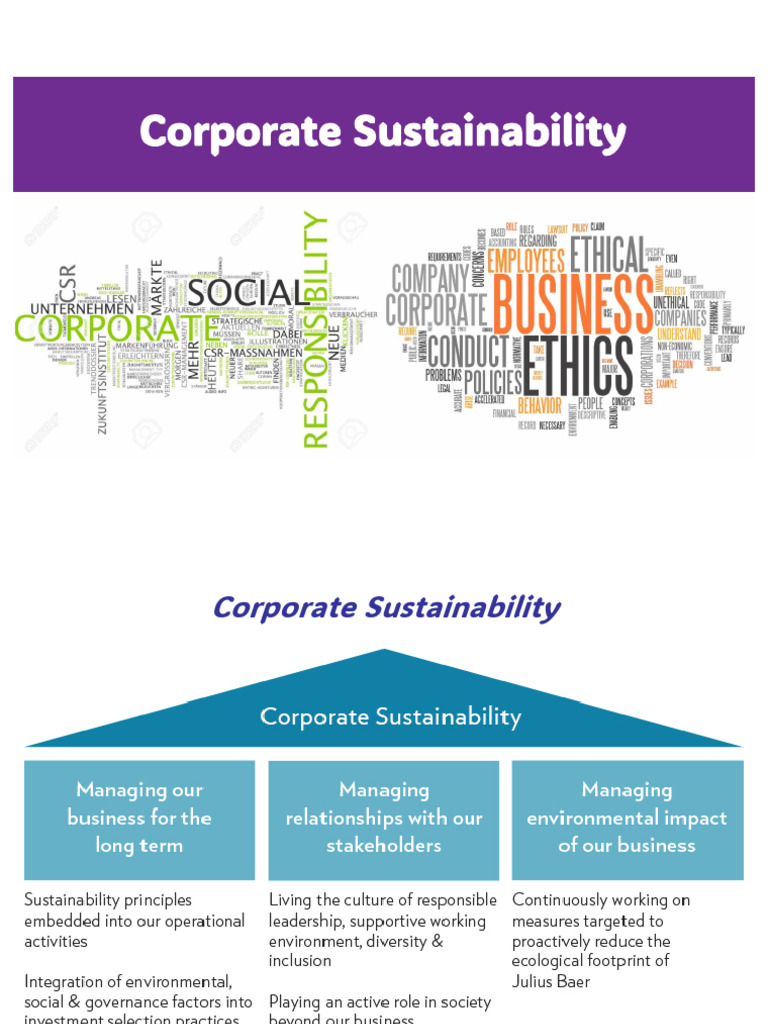 Corporate Social Responsibility Overview | PDF