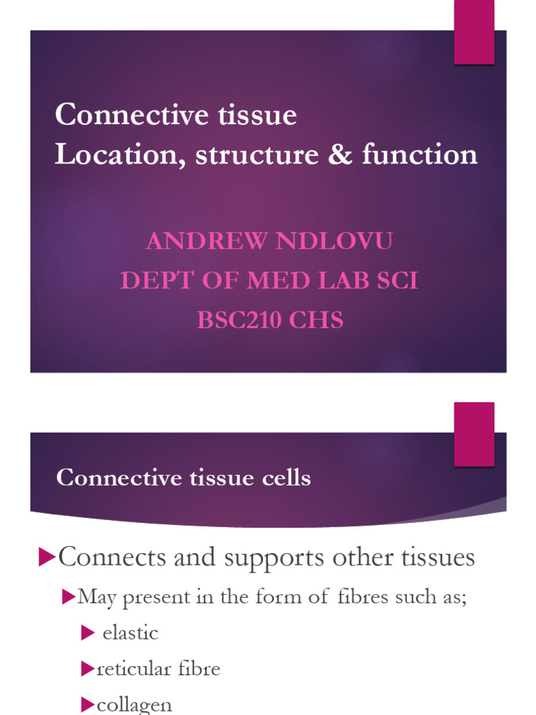 Unit 3.2 Histology Connective Tissue | PDF | Collagen | Connective Tissue