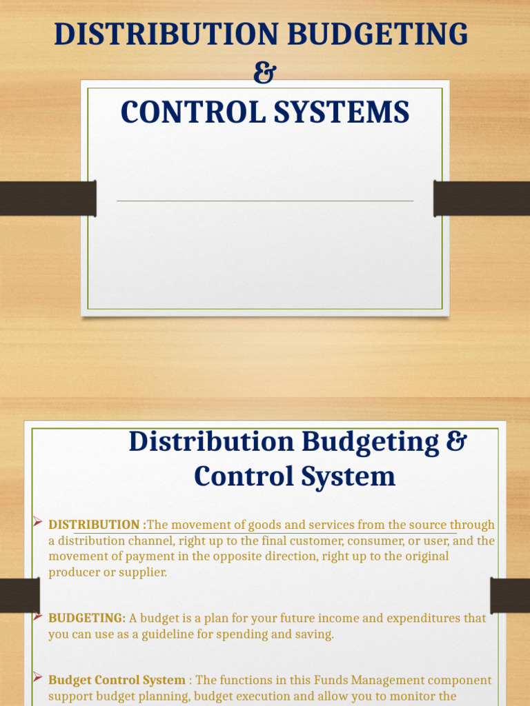 Distribution Budgeting & Control Systems | PDF | Warehouse | Inventory