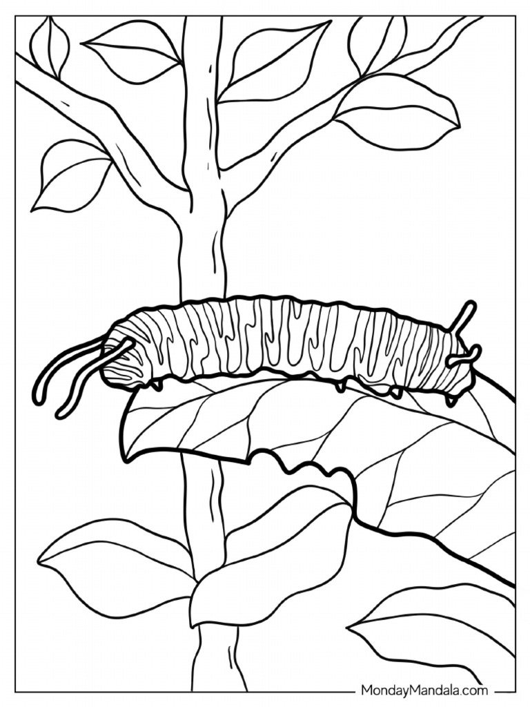 Coloring Page of A Monarch Caterpillar | PDF