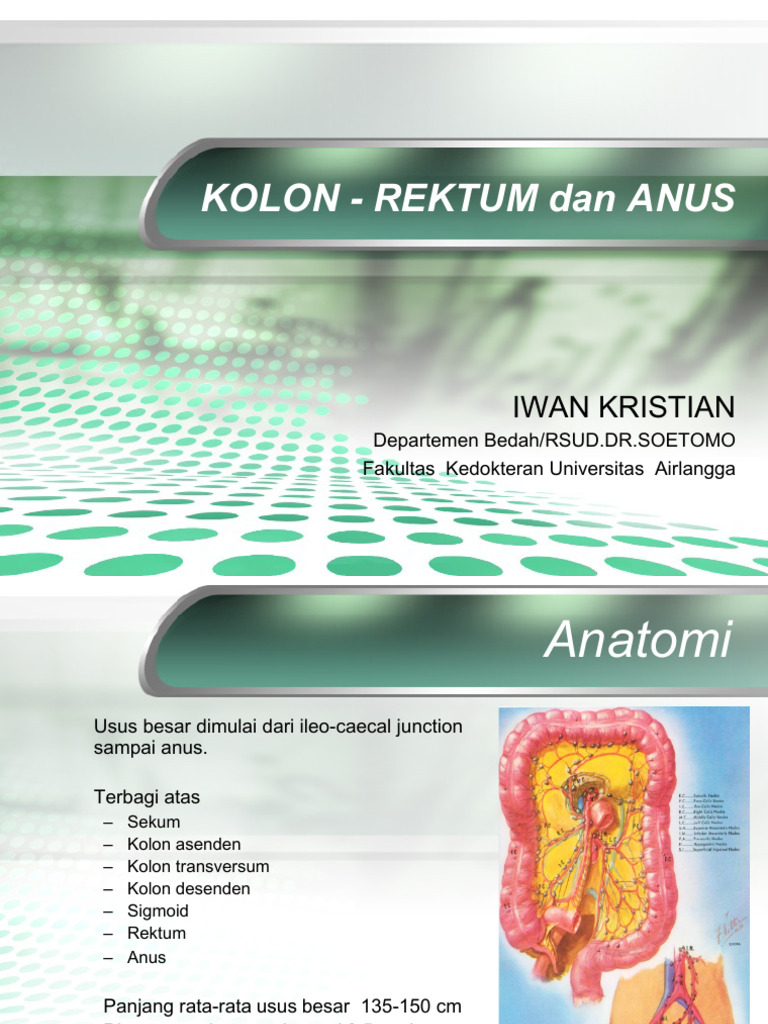 Anatomi dan Penyakit Kolon serta Rektum | PDF