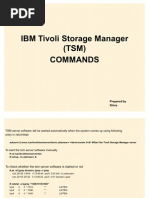 TSM Command Reference Guide | PDF | Backup | Computer Data Storage