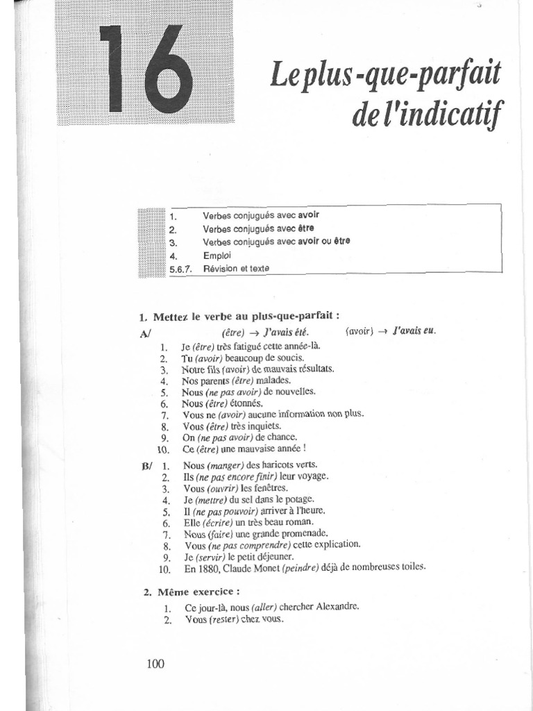 Unit+® 16 Plus Que Parfait | PDF