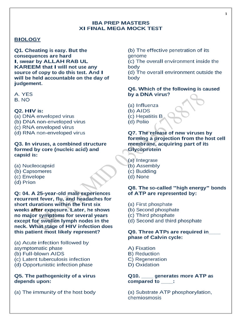Xi Mega | PDF