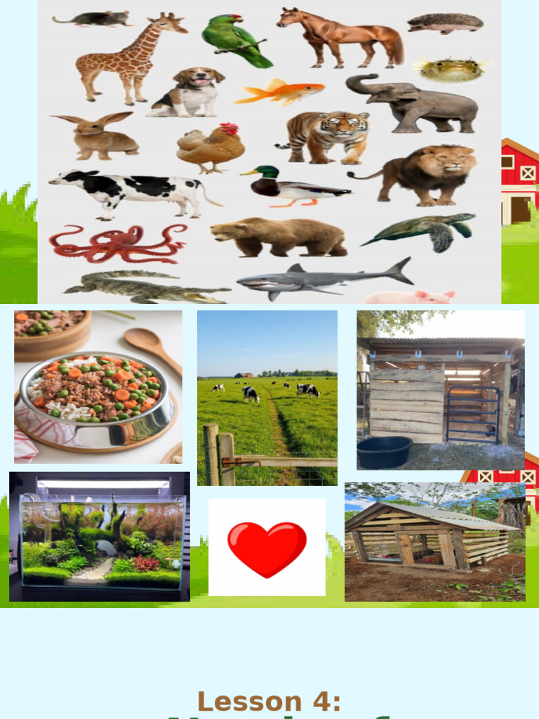 Essential Needs of Animals for Survival | PDF | Human–Animal ...