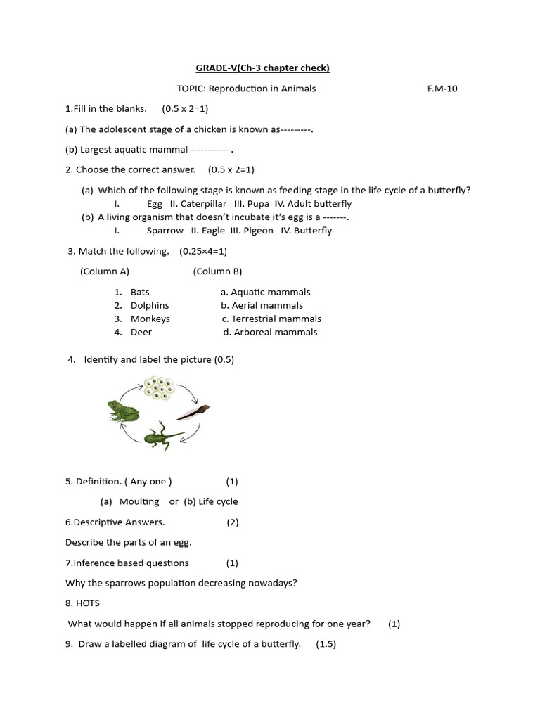 Sliptest Grd5 Ch-3 Chapter Check | PDF