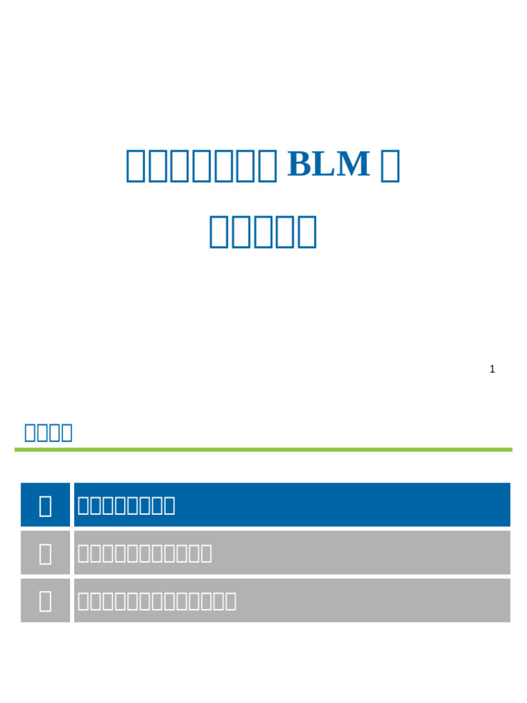 BLM模型 | PDF