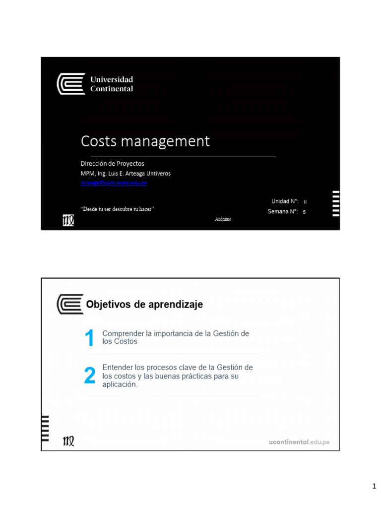Gestión Efectiva de Costos en Proyectos | PDF | Presupuesto | Medición