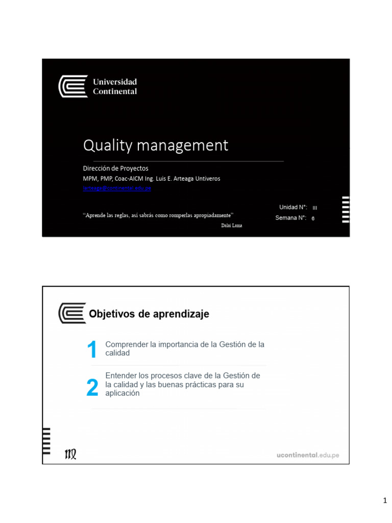 Gestión de la Calidad en Proyectos | PDF | Calidad (comercial ...