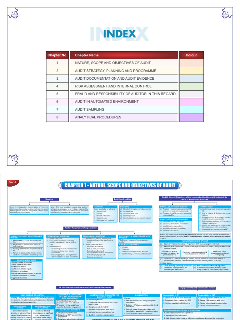 Comprehensive Audit Guide Overview | PDF | Audit | Financial Audit