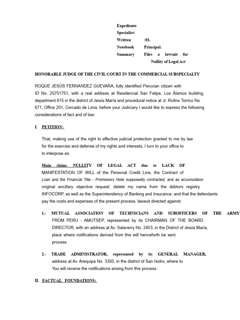 Nullity of Intestate Succession | PDF | Debt | Lawsuit