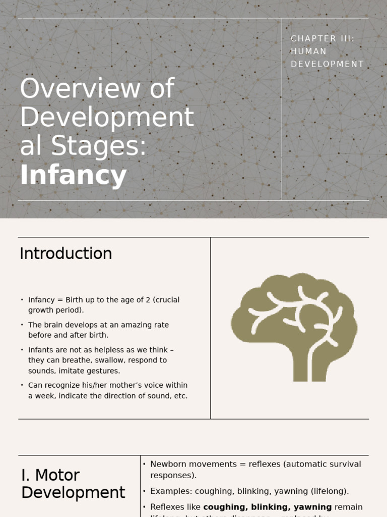 Infancy Development Stages Overview | PDF | Infants | Cognitive Development