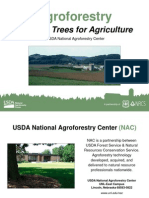 Agroforestry: Working Trees For Agriculture