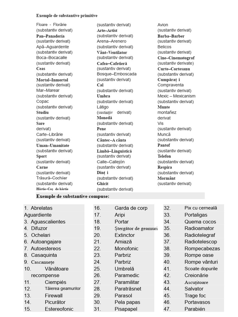 Exemple de Substantive Primitive | PDF