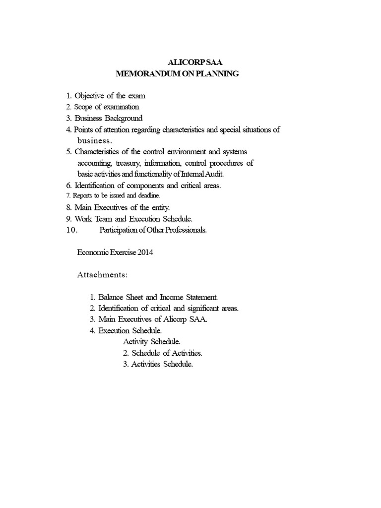 Alicorp SAA Audit Planning Memorandum | PDF | Audit | Inventory