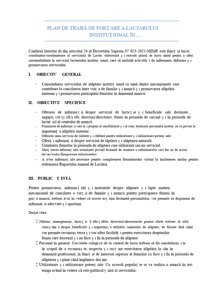 Modelul de Plan de Lucru | PDF