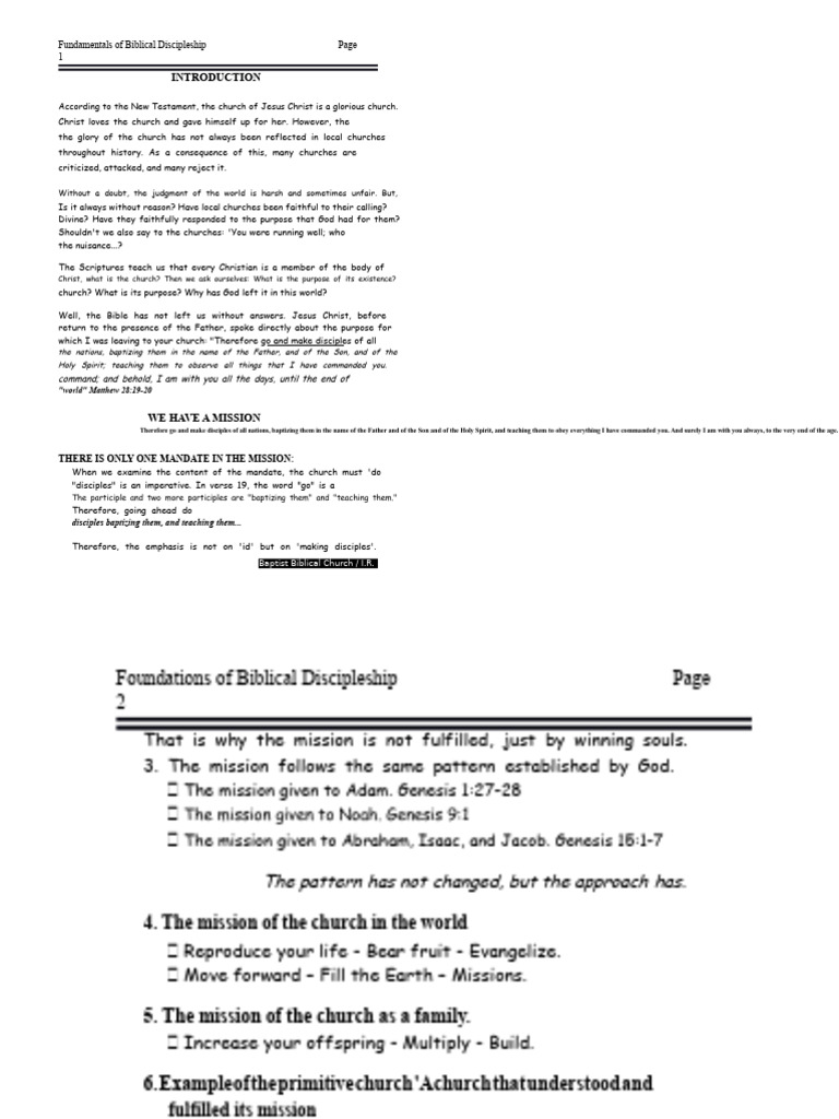 Biblical Discipleship Essentials Guide | PDF | Disciple (Christianity ...