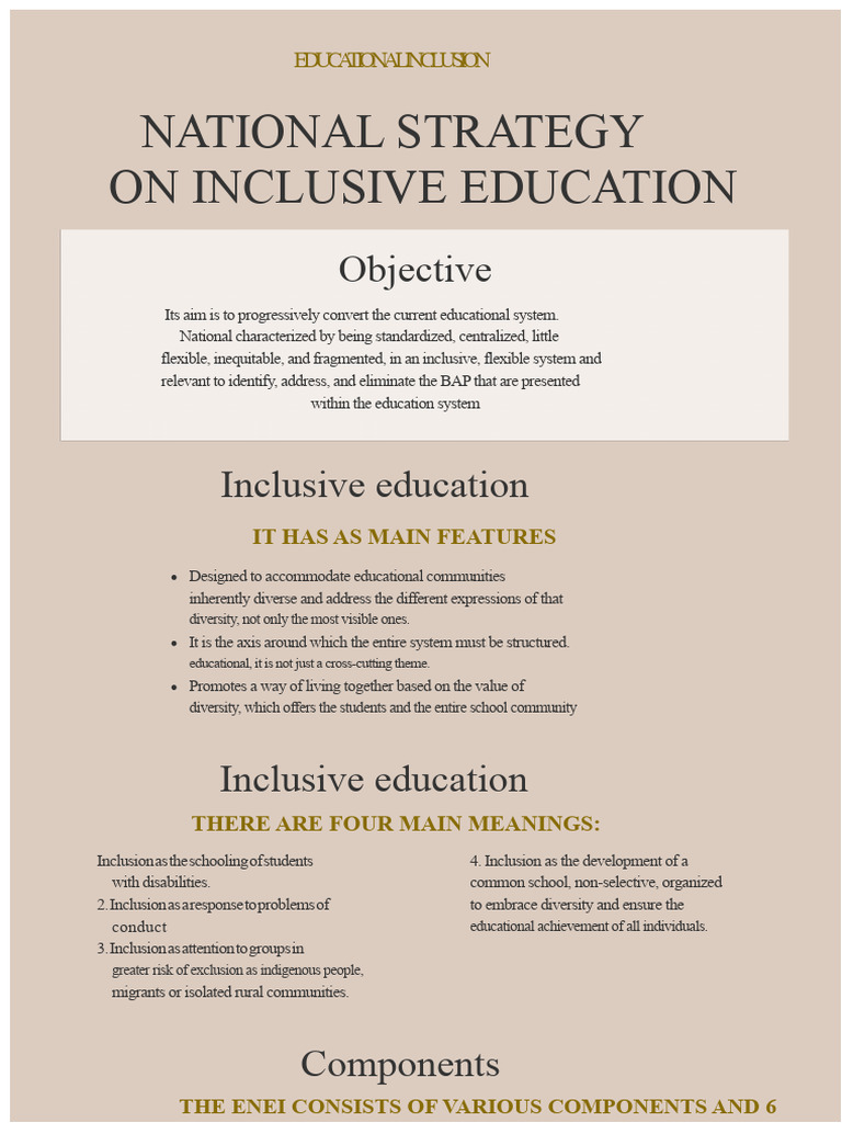 National Strategy For Inclusive Education | PDF
