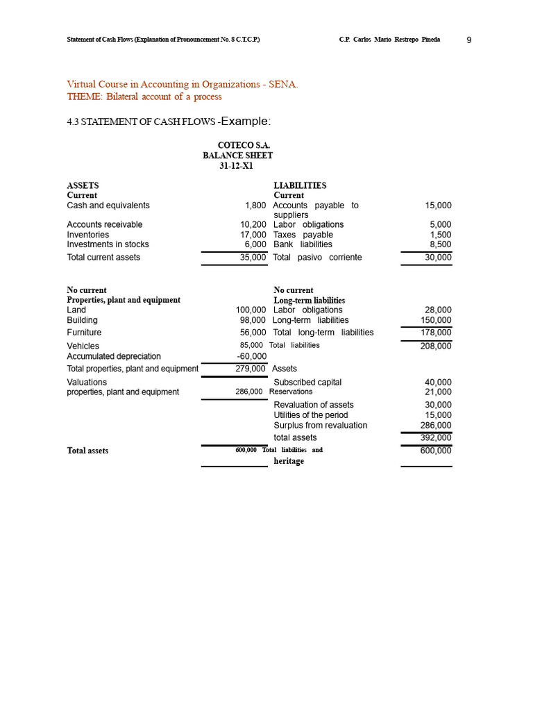 4.3 Cash Flow Statement (Example) | PDF | Cash Flow Statement | Expense