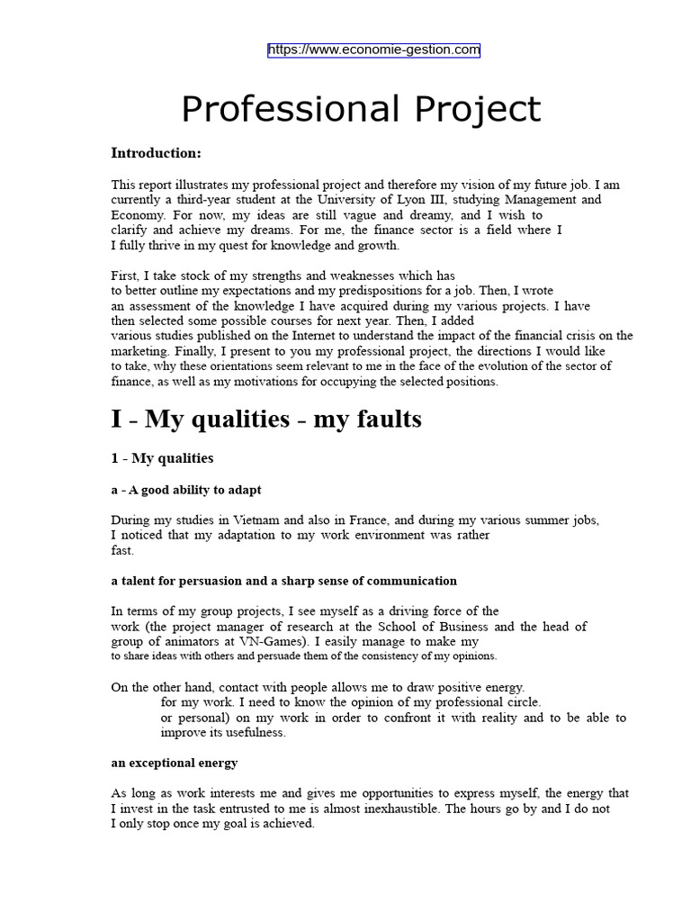 Professional Project in Finance and Marketing | PDF | Marketing | Internet