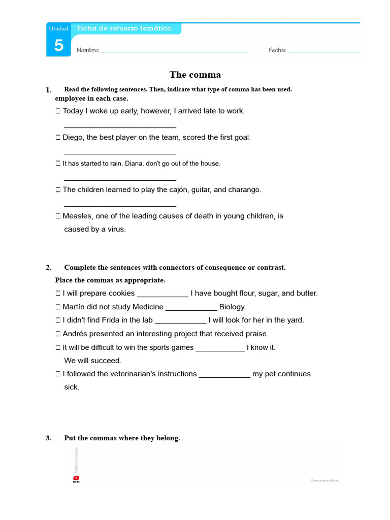 The Comma: 1. Employee in Each Case | PDF